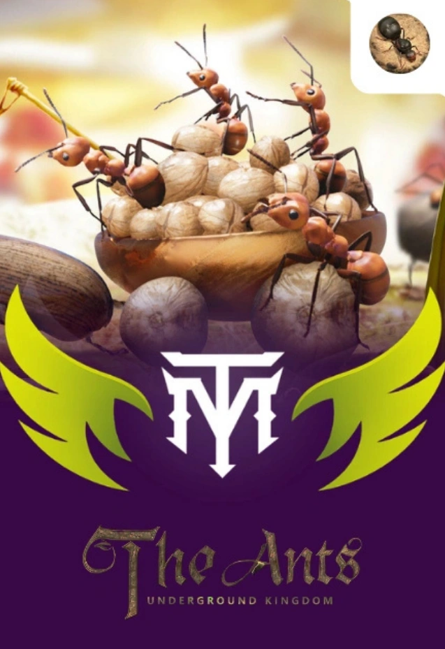 The Ants Underground Kingdom